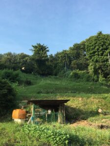 使わなくなった田畑（耕作放棄地）に残された農業資材・農業設備の撤去
